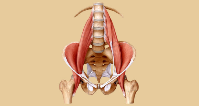 bacino anca ileopsoas